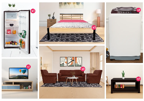 Fully Furnished 1 BHK Combo